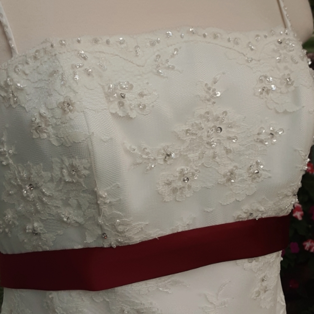 FINAL lvg 9/15 Designer Gown Tea Length wedding quinceanera ball formal - Picture 13 of 16